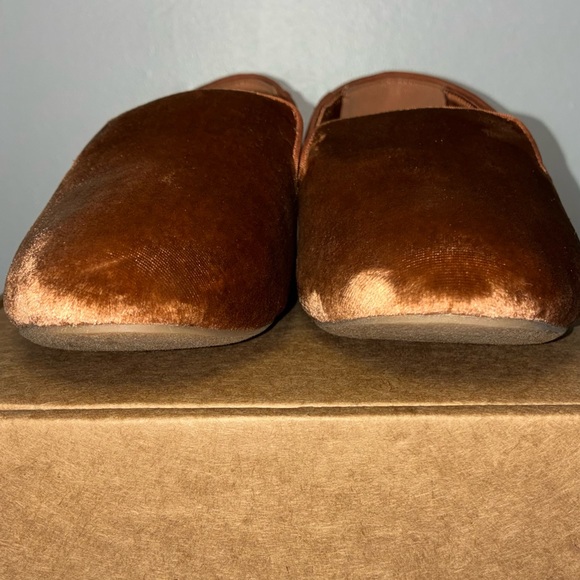 Birdies The Starling Flats in Amber Velvet Shoes - Picture 3 of 9